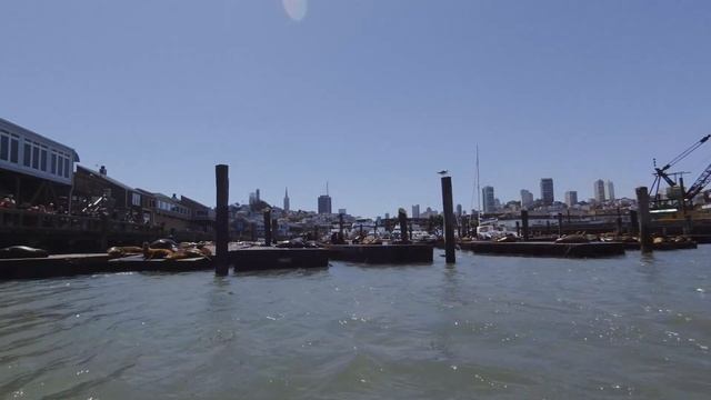 Экскурсия по заливу Сан-Франциско смотреть онлайн