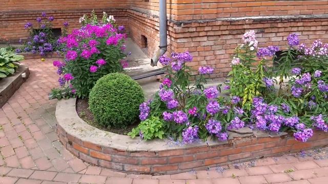 Строймарафон