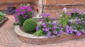 Как убрать траву из швов плитки - самый лучший метод DIY #садсвоимируками #cадоводство #садмечты