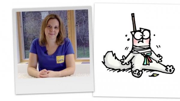 Why Do Cats Have A 'Crazy Time'? - Simon's Cat | LOGIC #1