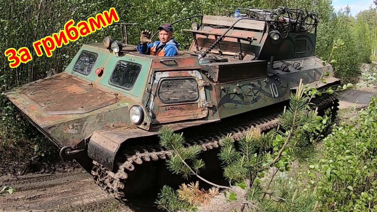 Сгонял в лес за грибами смотреть онлайн