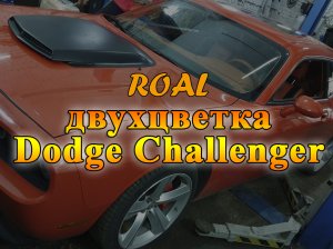 Двухцветка оранжевый и чёрный.mp4