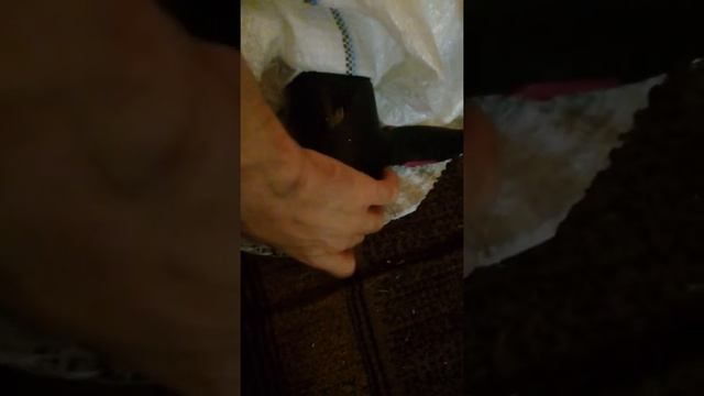 Экспресс сушка обуви смотреть онлайн