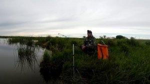 Ловля карася на фидер и донку летом