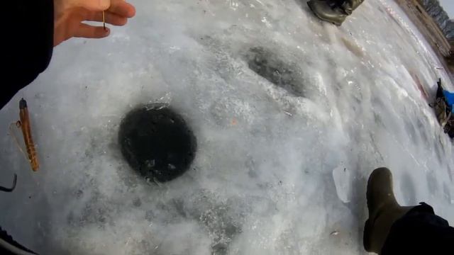 ЛОВЛЯ ФОРЕЛИ СО ЛЬДА! ПОИМКА ФОРЕЛИ НА БИСЕР! ВЫВАЖИВАНИЕ СУПЕР-ГИБКОЙ УДОЧКОЙ! смотреть онлайн