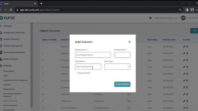 Managing Object Columns (Add, Edit, Delete) in Curia смотреть онлайн