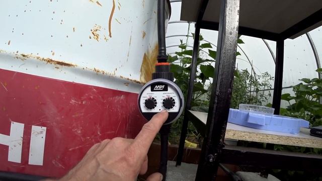 Дачный автополив и первая ягода смотреть онлайн