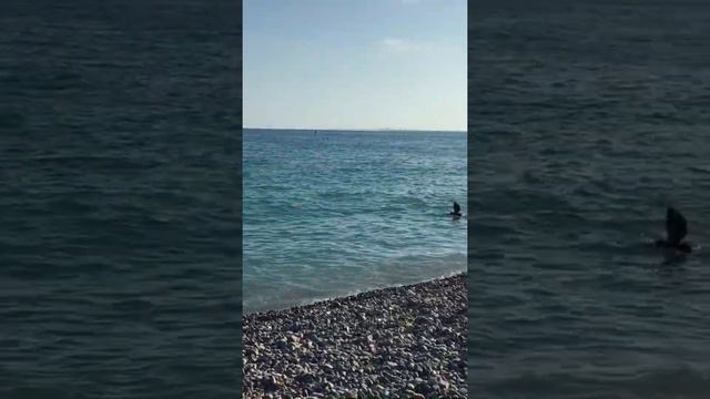 Nice vacances Ницца смотреть онлайн