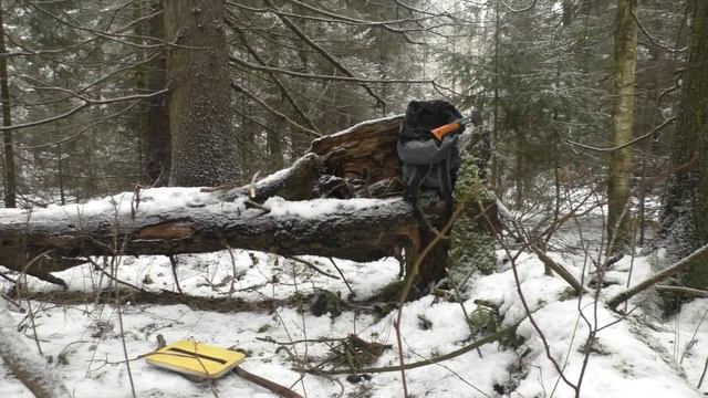 Поход выходного дня: уральская тайга, огромные ели, болото, костер, сбор чаги и разговоры)) смотреть онлайн