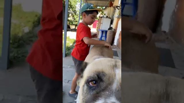 Как можно проводить время в деревне