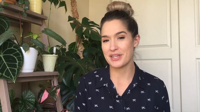 Hoya Verticillata Wibergiae | Happy Hoya-days: Day 13 | Vlogmas 2020