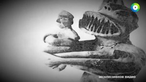 Земля  Территория загадок  Динозавры среди нас