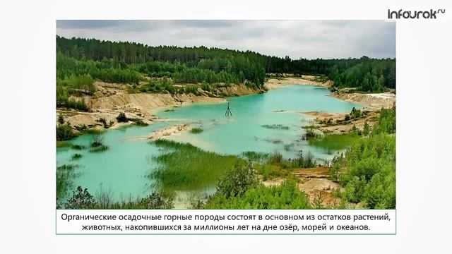 Полезные ископаемые. Их классификация и применение | Окружающий мир 4 класс #24 | Инфоурок смотреть онлайн