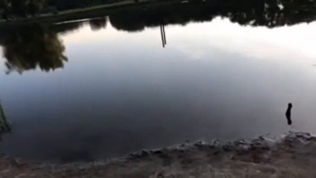 Про Акит смотреть онлайн