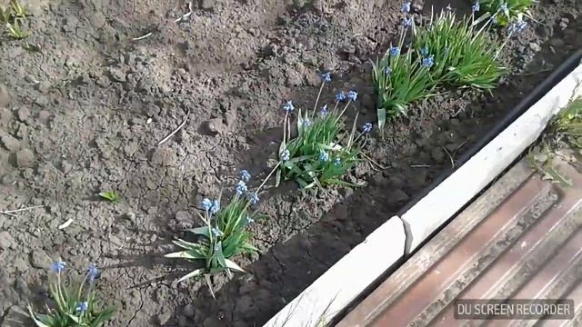 (КАДРЫ) дача ,, Мое лето ... " ( часть 1) смотреть онлайн