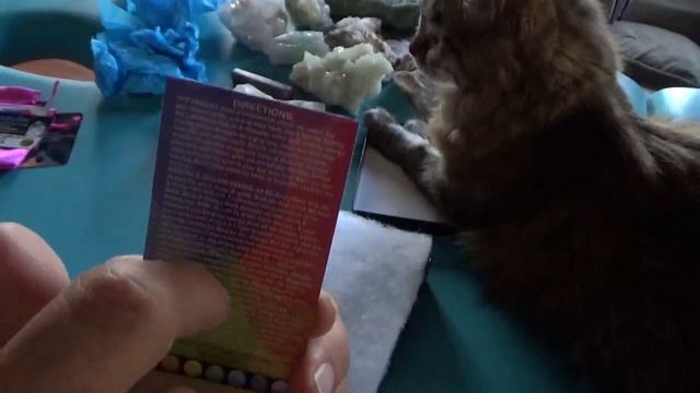 ASMR Unwrapping New Treasures ? смотреть онлайн