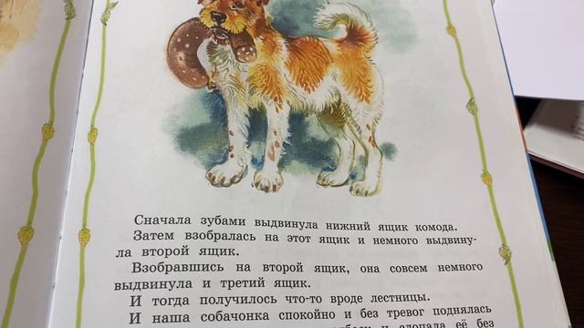 Читаем вместе с детьми: М.Зощенко «Интересно придумала»/16.11.21 смотреть онлайн