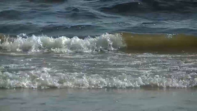 vatravel.ru  Ладожское озеро около с.Видлица Карелия