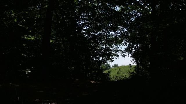 Sony FDR-AX1 -Test footage 4K смотреть онлайн
