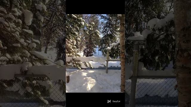 До Нового года осталось немного ....... Автор Андрей Дементьев смотреть онлайн