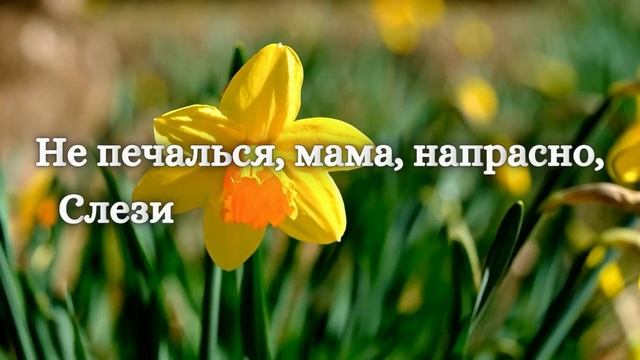 С 8 Марта, мама! смотреть онлайн