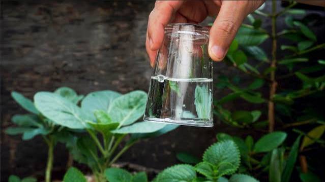 6 удивительных фокусов с водой / Научные опыты / Простые опыты смотреть онлайн