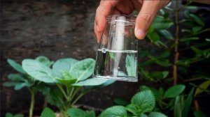 6 удивительных фокусов с водой / Научные опыты / Простые опыты