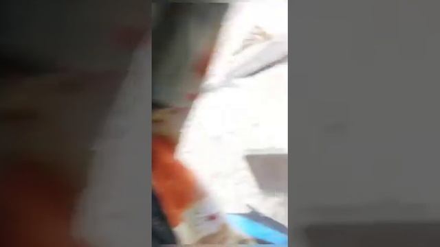 МТЗ 82 по Зеленоградскому пляжу смотреть онлайн
