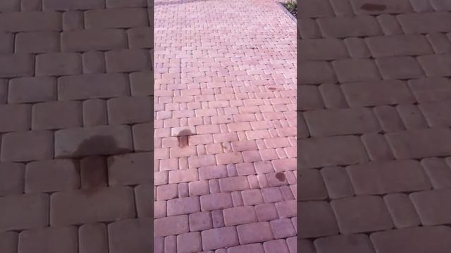 Укладка тратуарной плитки. смотреть онлайн