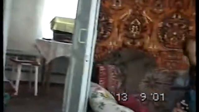 Снурницин Сергей играет на баяне в удовольствие смотреть онлайн