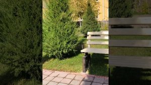 Sura al Fatir 35 / Сура Фатир красивый чтание Коран