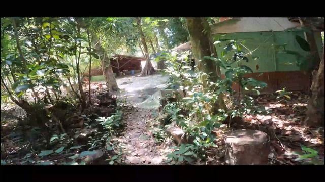 MALAYSIA PULAU SIBU ISLAND , RIMBA RESORT GOPRO9 смотреть онлайн