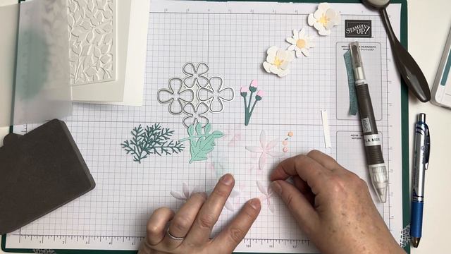 Paper Florist Dies - Shower or Wedding card смотреть онлайн