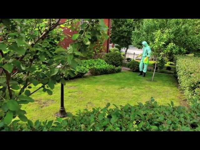 Компания Медилис