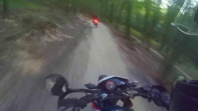 Enduro покатушка в Голосеевском лесу смотреть онлайн