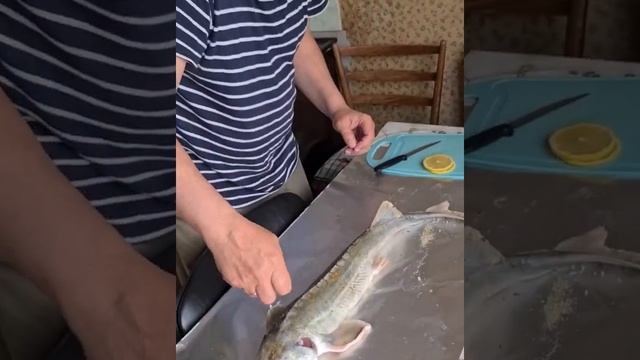 Муж готовит стерлядь, рецепт от мужа ,как приготовить рыбу в духовке смотреть онлайн