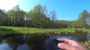 Мормышинг ВЕСНОЙ | Ловля карася и леща на Мормышинг
