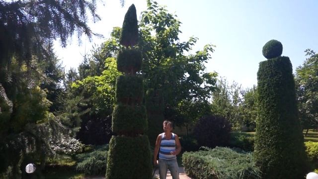 Стриженные туи в новом образе! Тотем в саду! смотреть онлайн