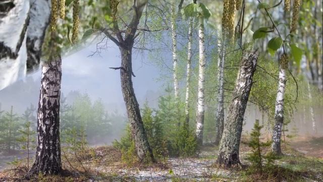 фотокарточки весны под звук мух смотреть онлайн