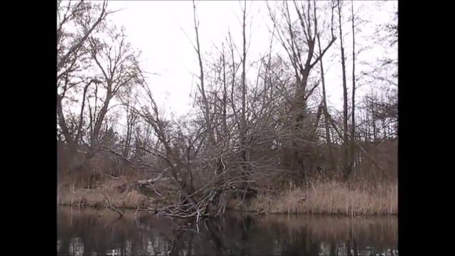 мейхуа vancoke semenov смотреть онлайн