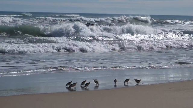февраль, к югу от Валенсии смотреть онлайн
