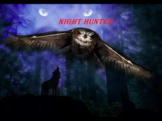 Проект ,,Ночной охотник в станице Коневской. Ночные беседы людей про проблемы края и их лично". смотреть онлайн