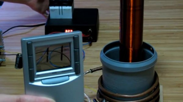 видео. взято с канал Hamster Time