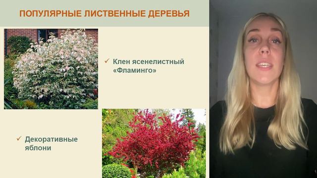 Listvennye-dereva - смотреть видео онлайн от «channel36597164» в хорошем качестве, опубликованное 20