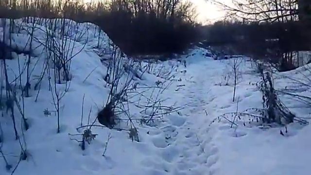 СТАЛК #2|НАШЛИ ДОМ В КОТОРОМ НИКТО НЕ ЖИВЕТ,НО ТАМ ИДЕТ ДЫМ! смотреть онлайн