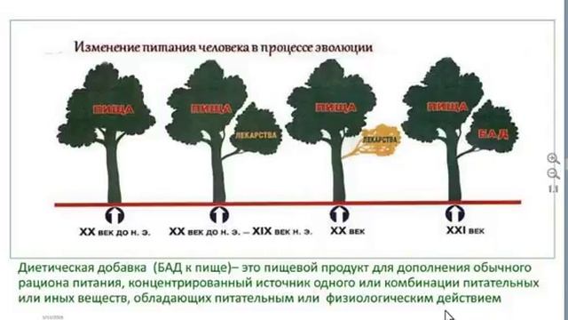 Демченко Елена о вэлнэс 1 часть смотреть онлайн