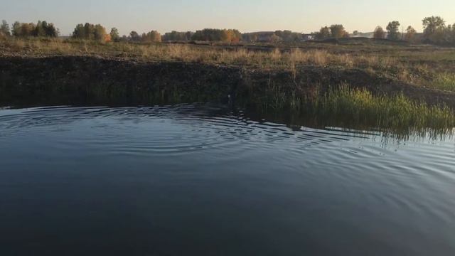 Купание. Побег Евы!