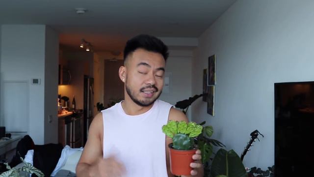 HOUSEPLANT HAUL | THE COST OF PLANT ADDICTION | CRAZY PLANT GUY смотреть онлайн