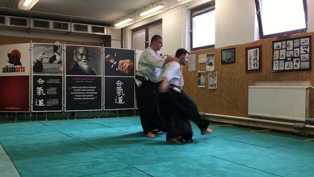 [TUTORIAL] advanced Aikido : Henka oyo waza ushiro ryotedori tekubi o mochiageru iriminage, ikkyo смотреть онлайн