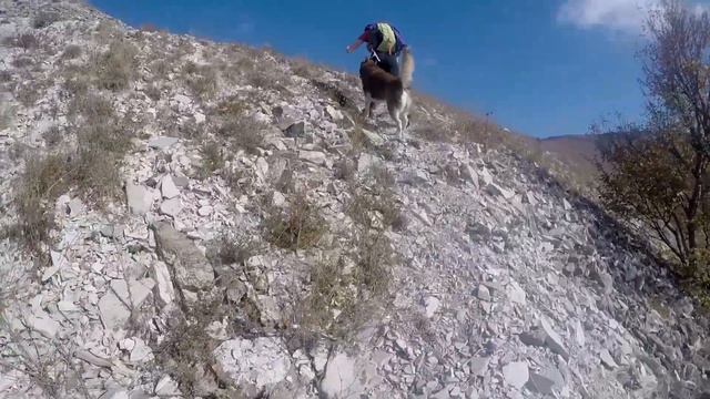 Черное море. Прогулка в горах. Столетние руины Black Sea walk in the mountains #новороссийск #husky смотреть онлайн